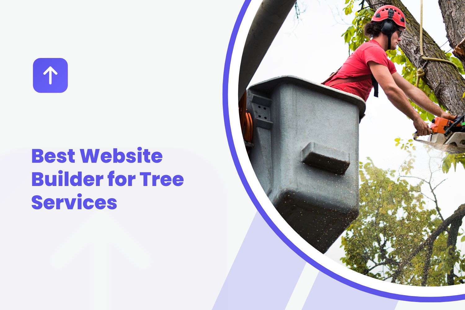 Best Website Builder for Tree Services