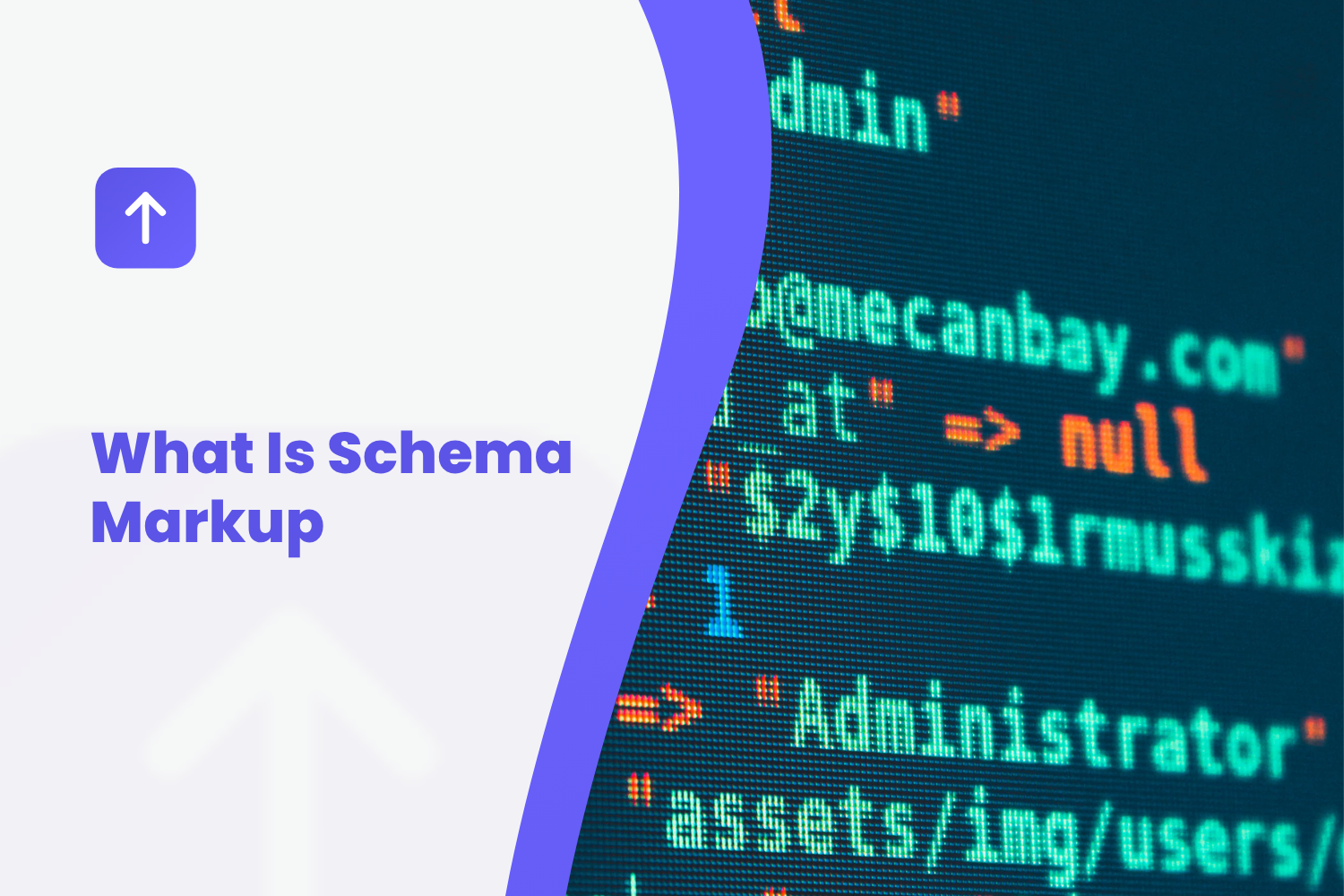 What Is Schema Markup: The Two Minute Owner Explanation (And Why Yours Should Be Automatic)