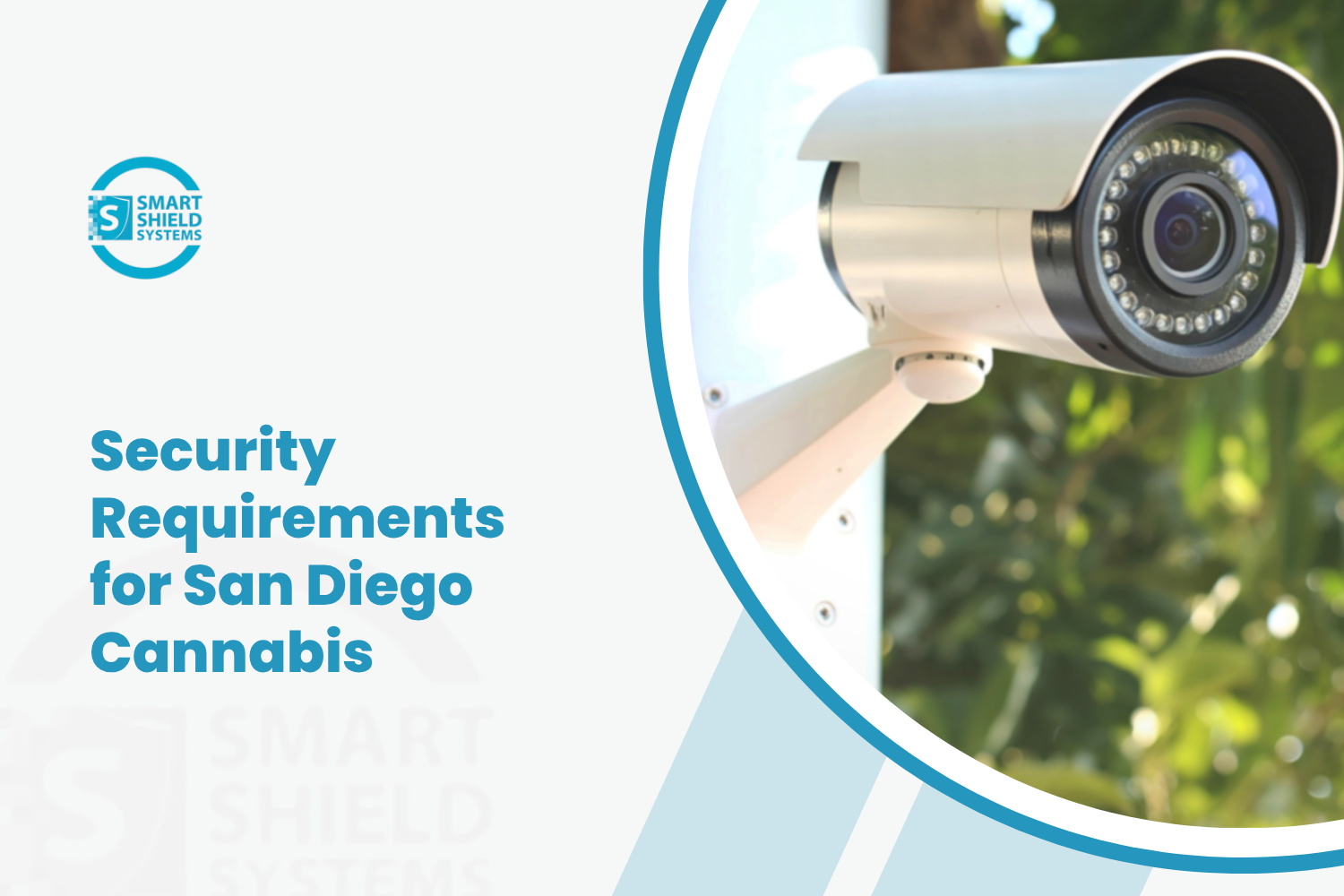 Security Requirements for San Diego Cannabis Dispensaries