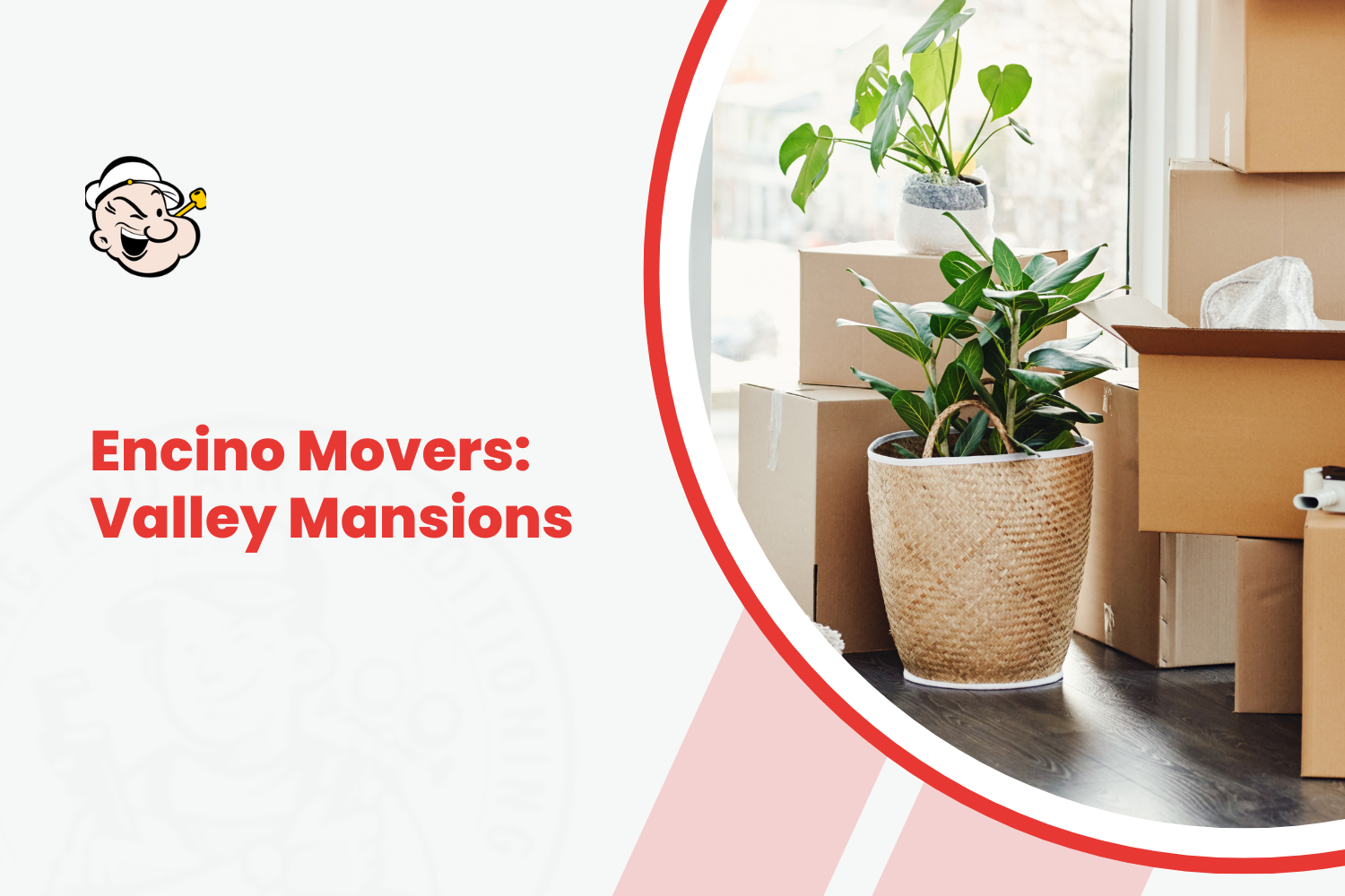 Encino movers logo with packed cardboard boxes and green houseplant near window