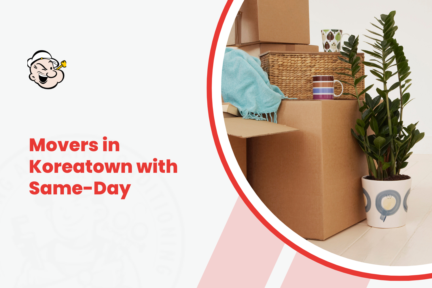 Koreatown movers same-day service with packed cardboard boxes and houseplant ready